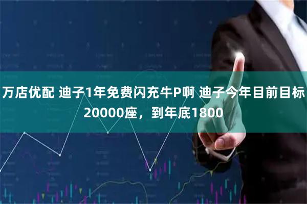 万店优配 迪子1年免费闪充牛P啊 迪子今年目前目标20000座，到年底1800