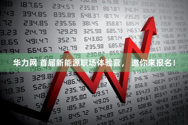 华力网 首届新能源职场体验营， 邀你来报名！
